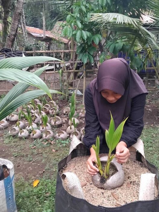 Pembenih Antisipasi Lonjakan Permintaan