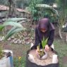 Pembenih Antisipasi Lonjakan Permintaan
