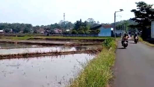 Pemkab Klaim LP2B Sudah 87,08 Persen