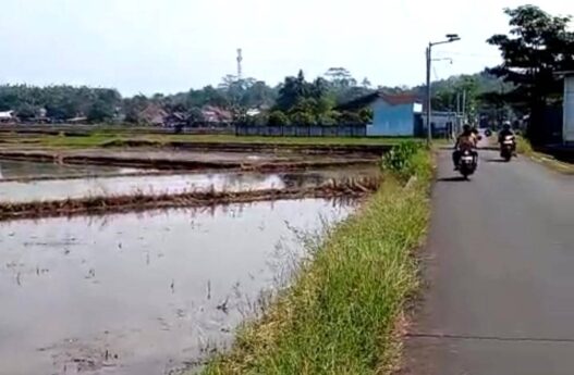 Pemkab Klaim LP2B Sudah 87,08 Persen