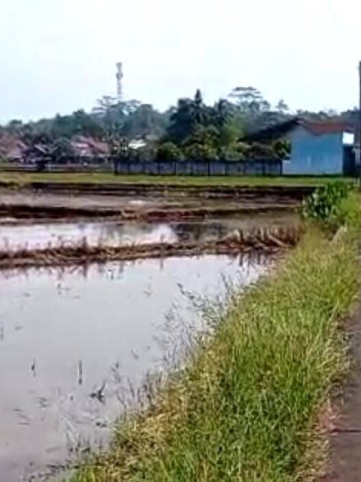 Pemkab Klaim LP2B Sudah 87,08 Persen