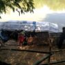 Penyeberangan Perahu Dadakan Bertambah