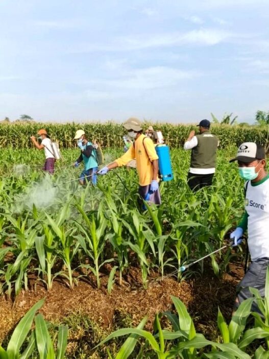 Petani Didorong Tinggalkan Pestisida Kimia