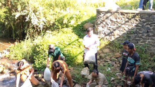 Ribuan Benih Nilem Ditebar ke Sungai Cimanik