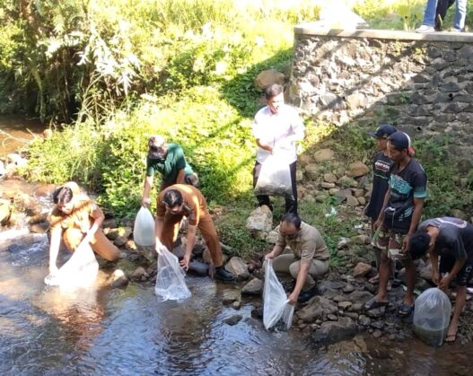 Ribuan Benih Nilem Ditebar ke Sungai Cimanik