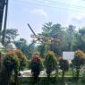 RTH Semampir Akan Direvitalisasi