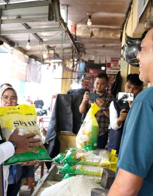Stok Beras Nasional Tembus 5,3 Juta Ton
