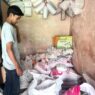 Stok Pupuk Subsidi Dipastikan Aman