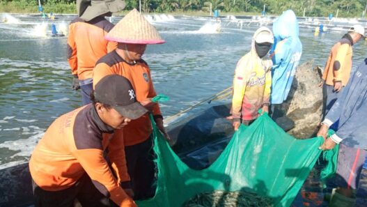 Sulap Lahan Tidur di Nusakambangan