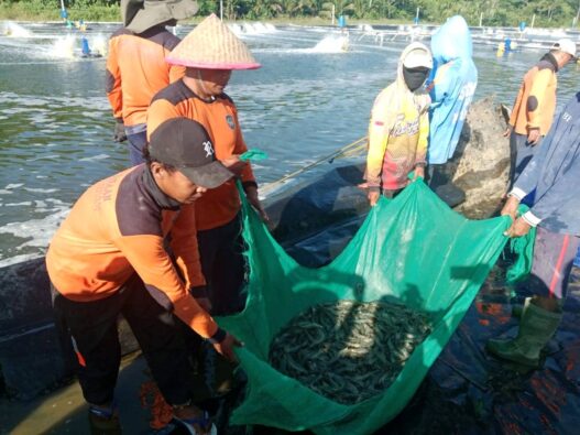 Sulap Lahan Tidur di Nusakambangan