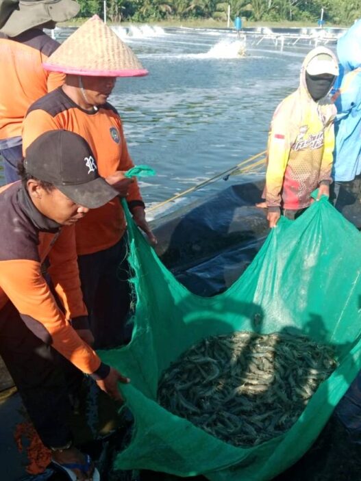 Sulap Lahan Tidur di Nusakambangan