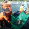 Sulap Lahan Tidur di Nusakambangan