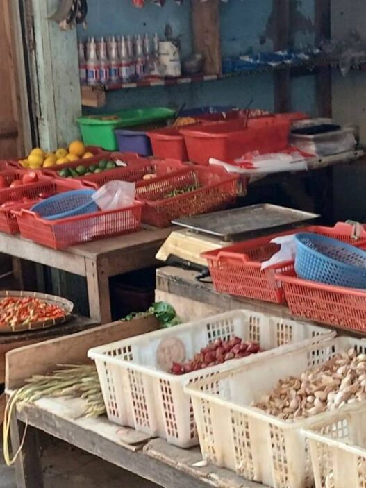 Swasembada Bawang Putih dalam Empat Tahun