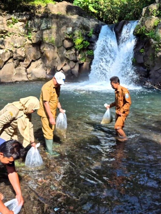 Tebar 30 Ribu Benih Ikan di 12 Desa