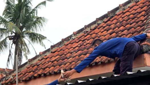 Tiga Kucing Terjebak di Atap Rumah, Dievakuasi Damkar