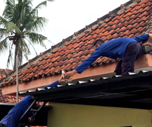 Tiga Kucing Terjebak di Atap Rumah, Dievakuasi Damkar