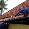Tiga Kucing Terjebak di Atap Rumah, Dievakuasi Damkar