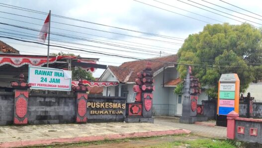 Tiga Puskesmas Dipimpin Plt
