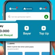 Transfer GoPay