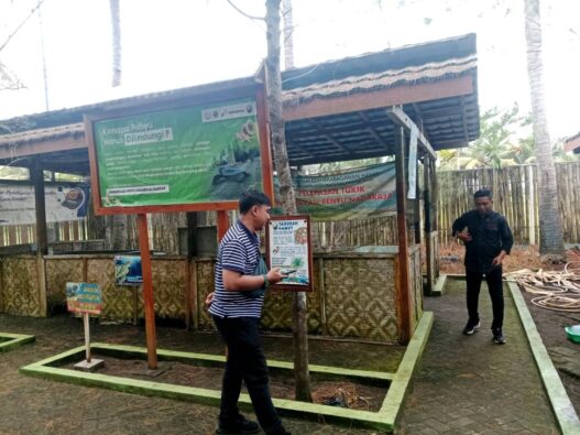 Tukik Penyu Menetas di Pantai Sodong