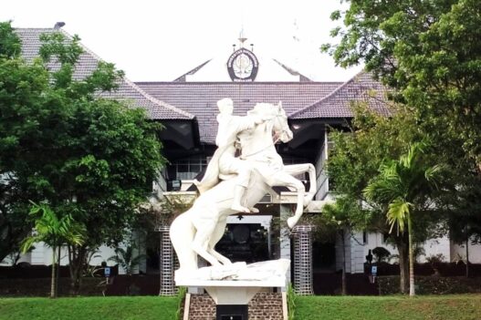 Undip