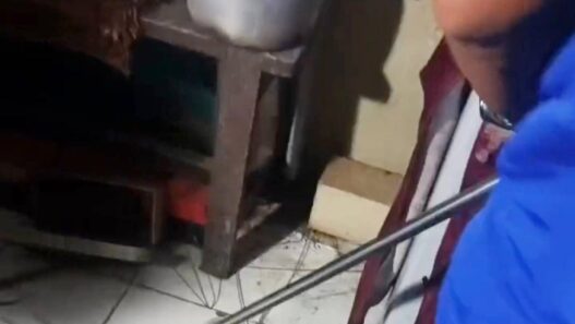 Warga Donan Geger, Ular Kobra Ditemukan di Garasi