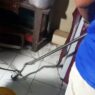 Warga Donan Geger, Ular Kobra Ditemukan di Garasi