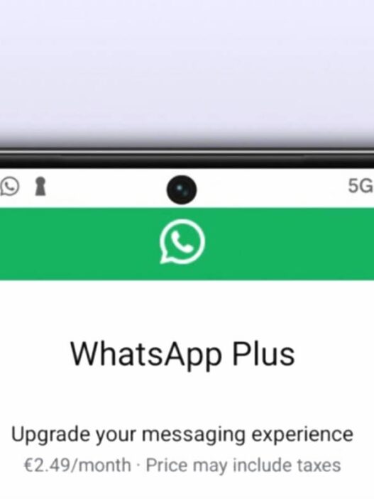 Whatsapp plus