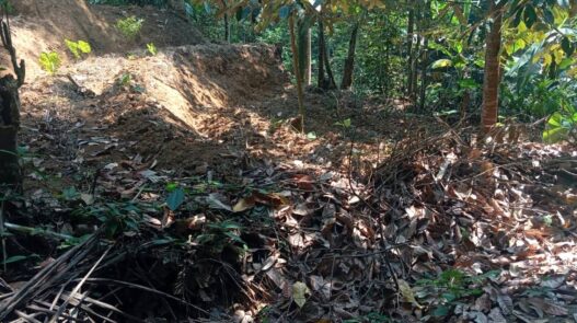 Antisipasi Karhutla di Puncak Kemarau