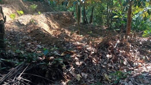 Antisipasi Karhutla di Puncak Kemarau