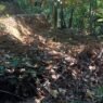 Antisipasi Karhutla di Puncak Kemarau