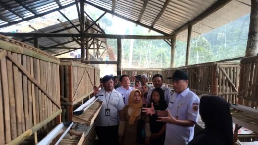 Banjarnegara Jadi Percontohan Pertanian Terpadu