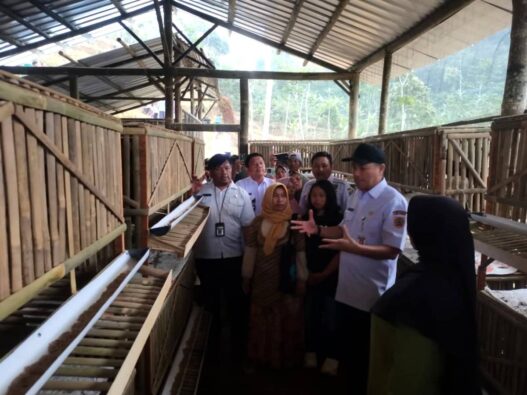 Banjarnegara Jadi Percontohan Pertanian Terpadu