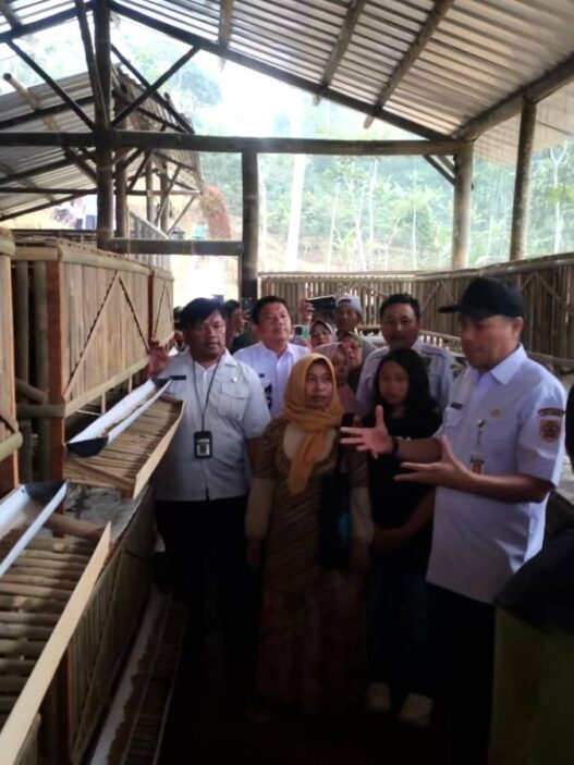 Banjarnegara Jadi Percontohan Pertanian Terpadu