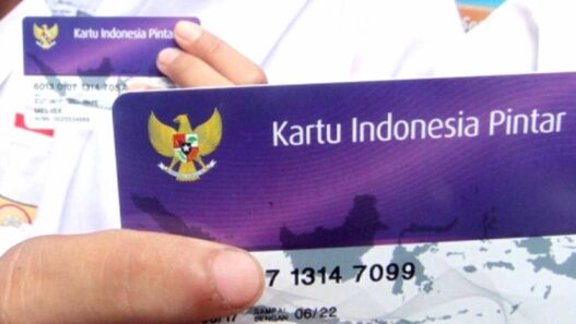 Bantuan PIP
