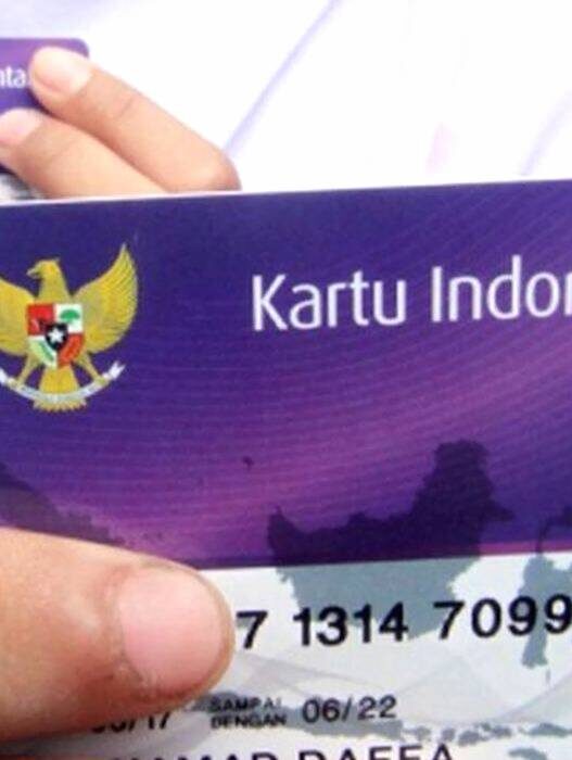 Bantuan PIP
