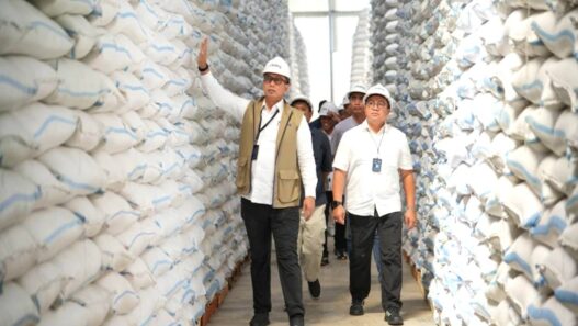 BULOG Serap 3,5 Juta Ton Beras Petani