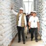 BULOG Serap 3,5 Juta Ton Beras Petani