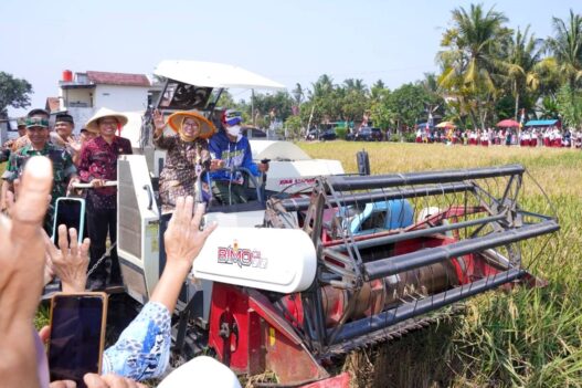 Bupati Dorong Pertanian Sejahterakan Petani