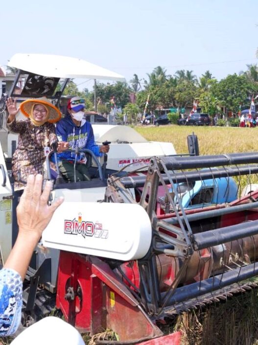 Bupati Dorong Pertanian Sejahterakan Petani