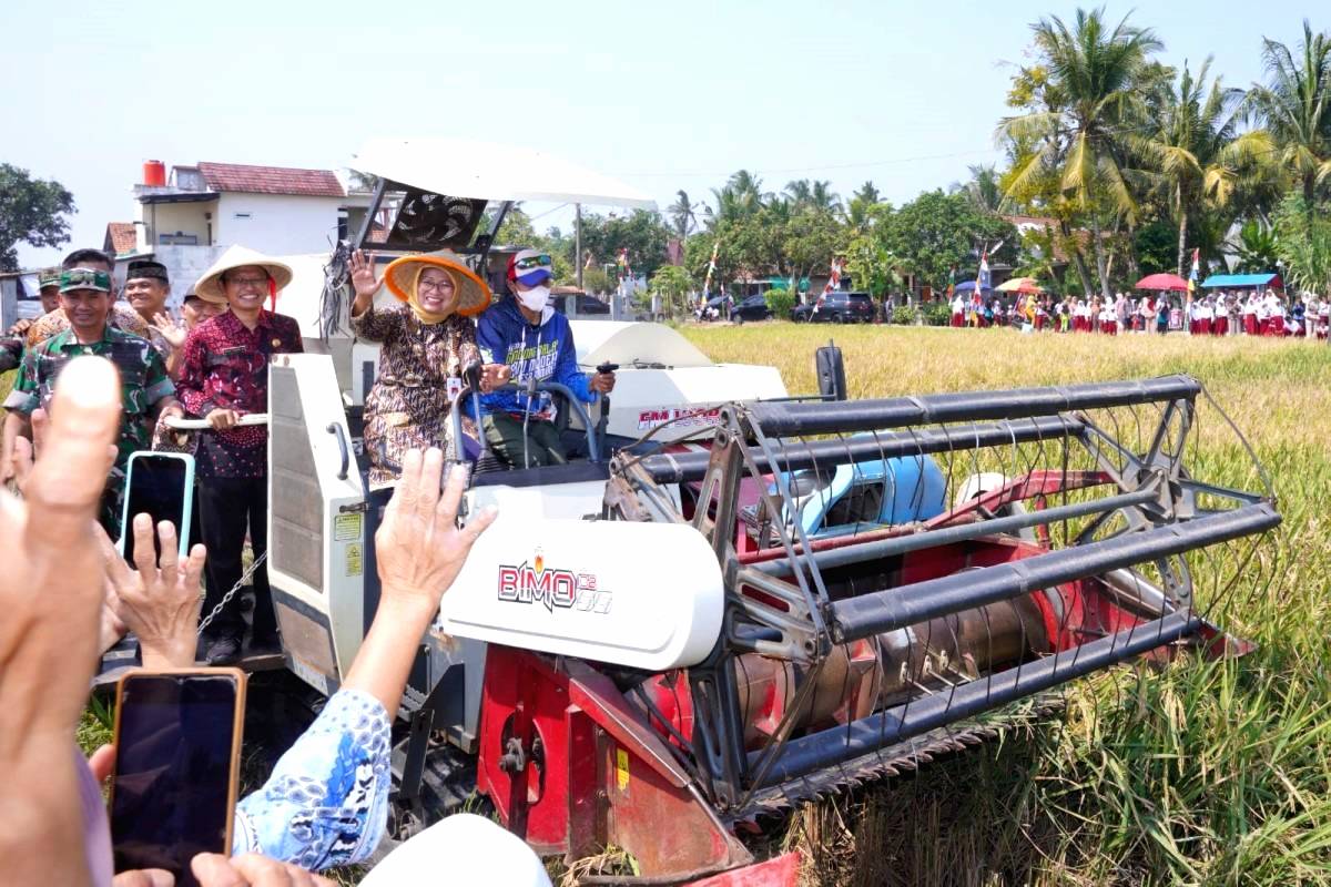 Bupati Dorong Pertanian Sejahterakan Petani