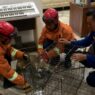 Damkar Evakuasi Anjing Ngamuk dan Serang Pemiliknya
