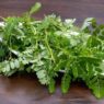 Daun Meniran