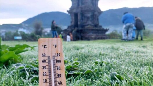 Dieng