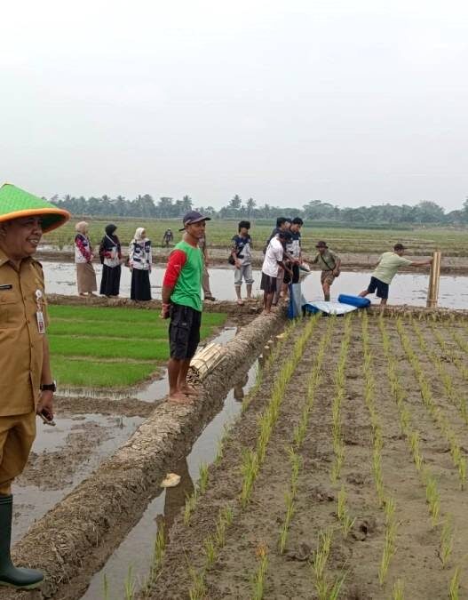 DPPP Pasang Perangkap Tikus Ramah Lingkungan