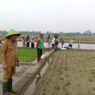 DPPP Pasang Perangkap Tikus Ramah Lingkungan