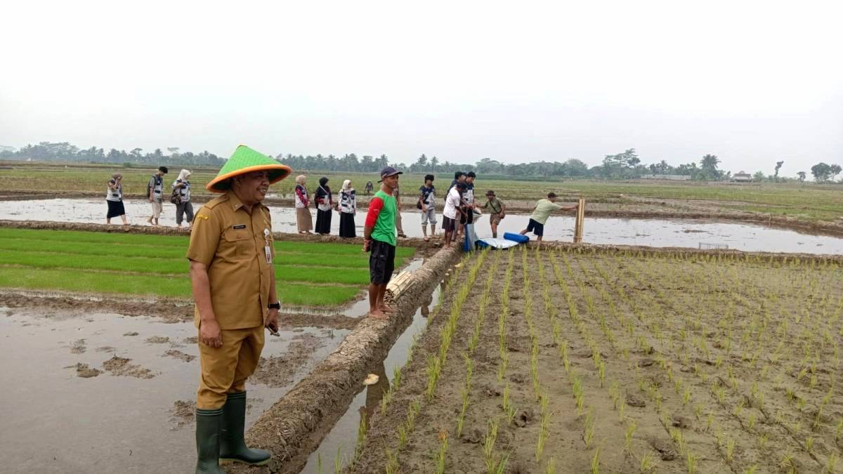 DPPP Pasang Perangkap Tikus Ramah Lingkungan