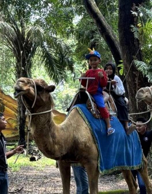 Eks Dirut Kebun Binatang Surabaya Jadi Tersangka