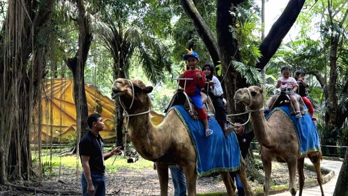 Eks Dirut Kebun Binatang Surabaya Jadi Tersangka