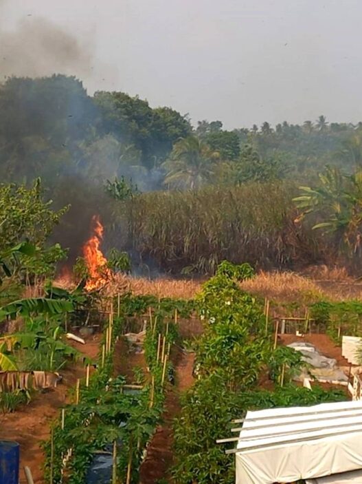 Empat Karhutla dalam Dua Pekan